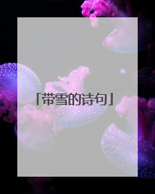 带雪的诗句