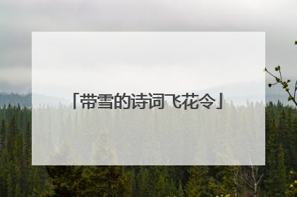 带雪的诗词飞花令