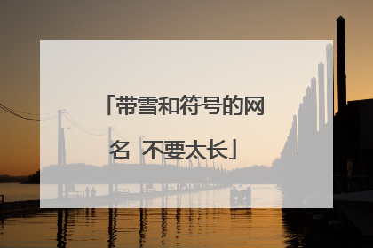 带雪和符号的网名 不要太长