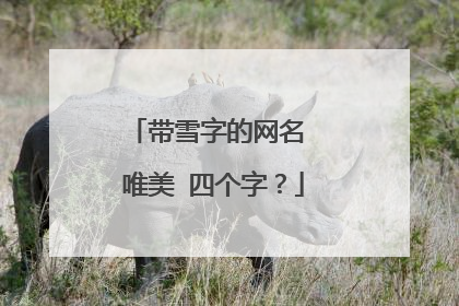 带雪字的网名 唯美 四个字？