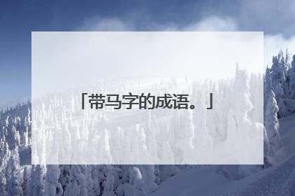 带马字的成语。