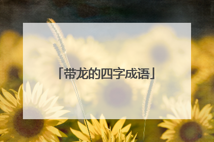 带龙的四字成语