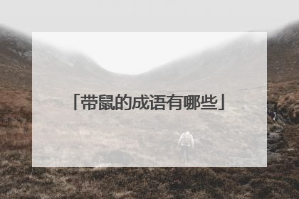 带鼠的成语有哪些