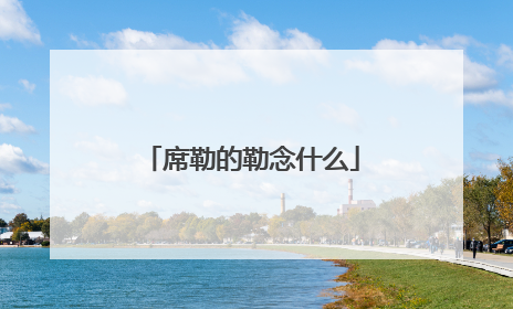 席勒的勒念什么