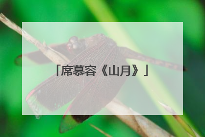 席慕容《山月》