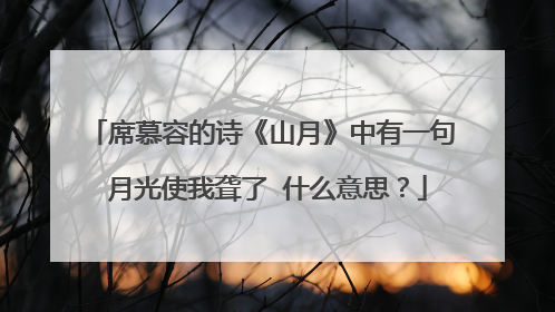 席慕容的诗《山月》中有一句 月光使我聋了 什么意思?