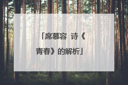 席慕容 诗《青春》的解析