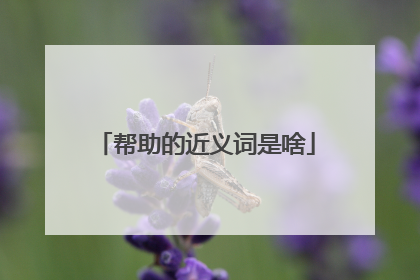 帮助的近义词是啥