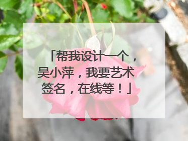 帮我设计一个，吴小萍，我要艺术签名，在线等！