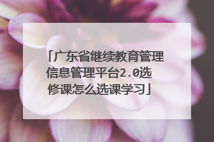 广东省继续教育管理信息管理平台2.0选修课怎么选课学习