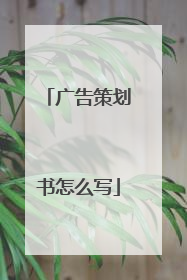 广告策划书怎么写