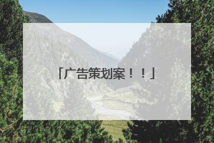 广告策划案！！