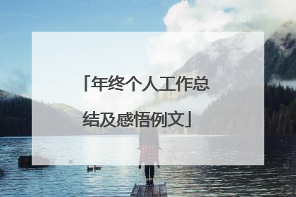 年终个人工作总结及感悟例文