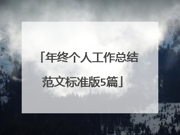 年终个人工作总结范文标准版5篇