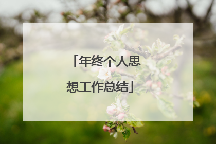 年终个人思想工作总结