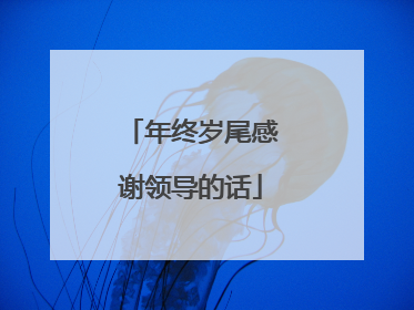 年终岁尾感谢领导的话