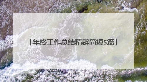 年终工作总结精辟简短5篇