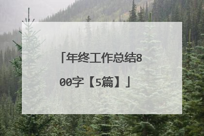 年终工作总结800字【5篇】