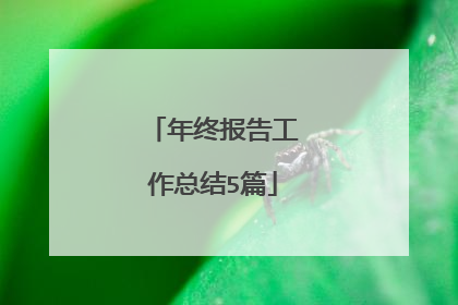 年终报告工作总结5篇