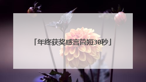 年终获奖感言简短30秒