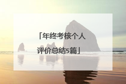年终考核个人评价总结5篇