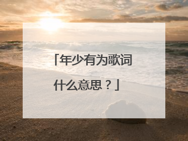 年少有为歌词什么意思？
