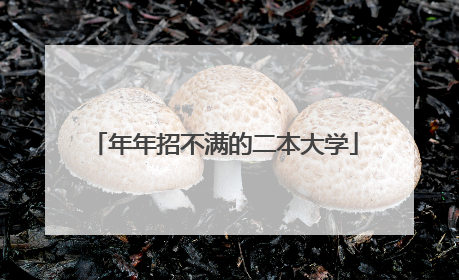 年年招不满的二本大学