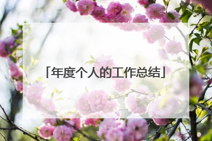 年度个人的工作总结