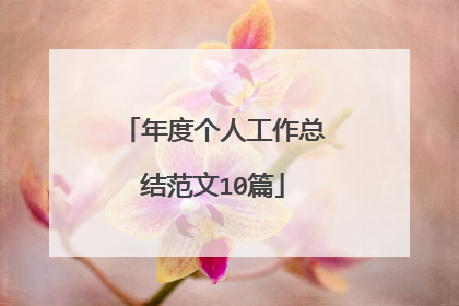 年度个人工作总结范文10篇