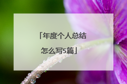年度个人总结怎么写5篇