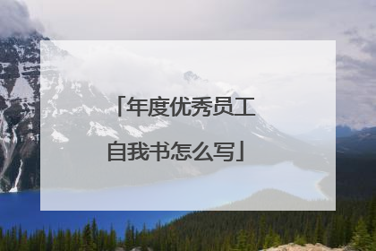 年度优秀员工自我书怎么写
