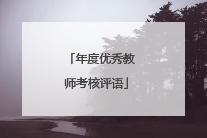年度优秀教师考核评语