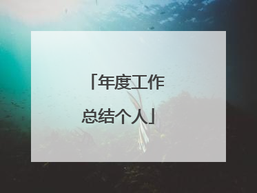 年度工作总结个人