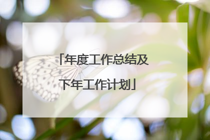 年度工作总结及下年工作计划