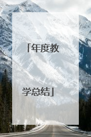 年度教学总结