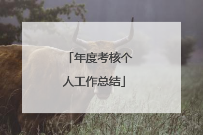 年度考核个人工作总结