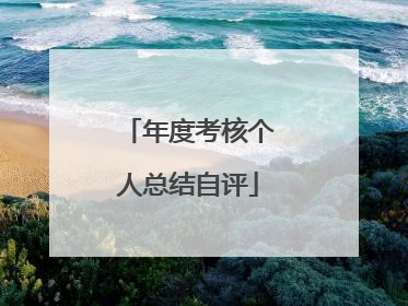 年度考核个人总结自评
