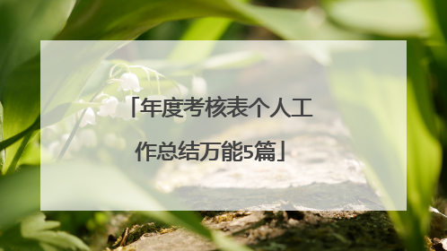 年度考核表个人工作总结万能5篇