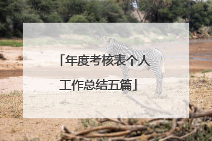 年度考核表个人工作总结五篇
