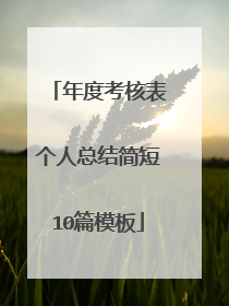 年度考核表个人总结简短10篇模板