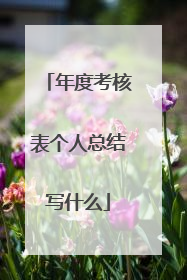 年度考核表个人总结写什么