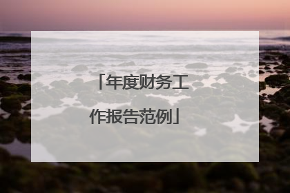 年度财务工作报告范例