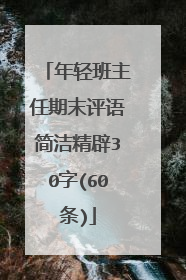 年轻班主任期末评语简洁精辟30字(60条)
