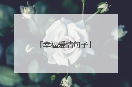幸福爱情句子