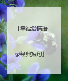 幸福爱情语录经典短句