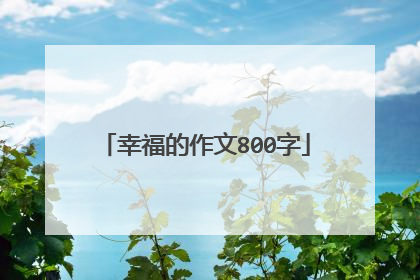 幸福的作文800字