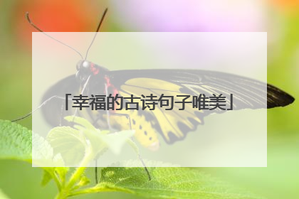 幸福的古诗句子唯美