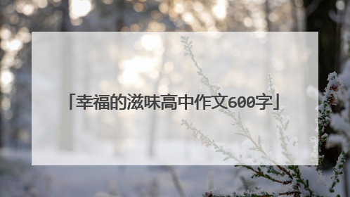 幸福的滋味高中作文600字
