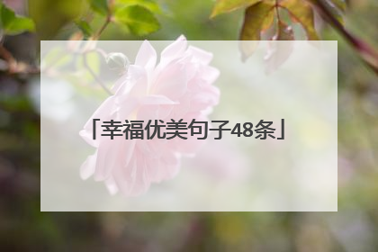 幸福优美句子48条
