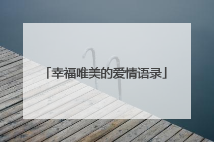 幸福唯美的爱情语录
